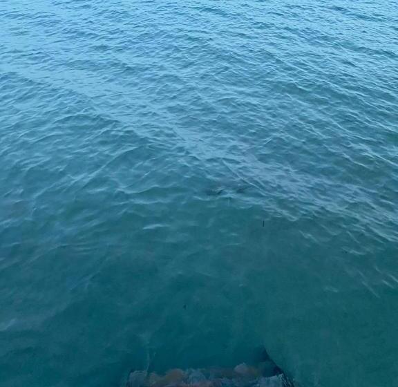 צימר Yakamoz Motel & Restaurant