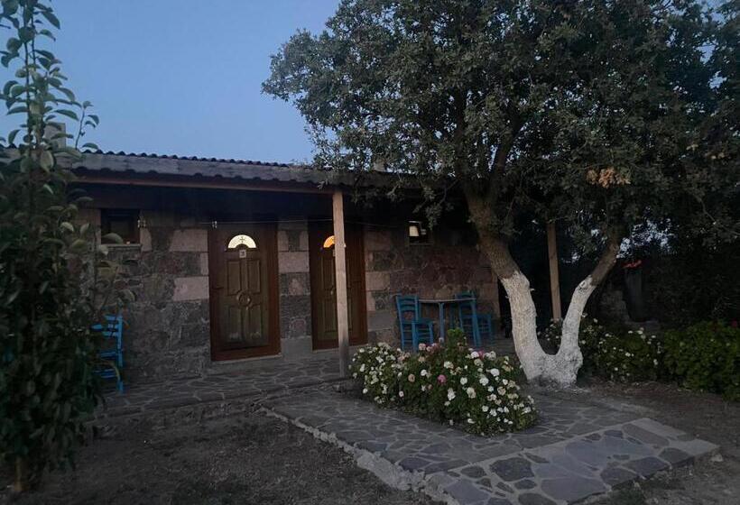 مبيت وإفطار Yakamoz Motel & Restaurant