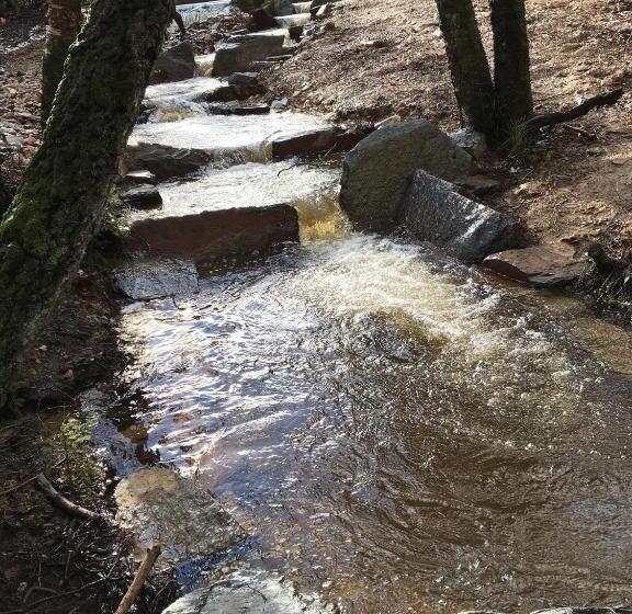 Bed & Breakfast Schlommefurth