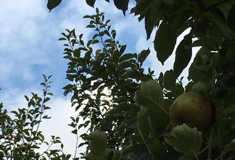 Bed & Breakfast Schlommefurth