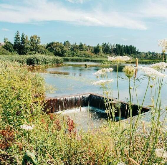 Clinton Pond Bed And Breakfast