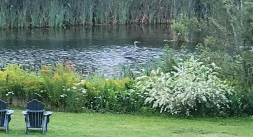 Clinton Pond Bed And Breakfast