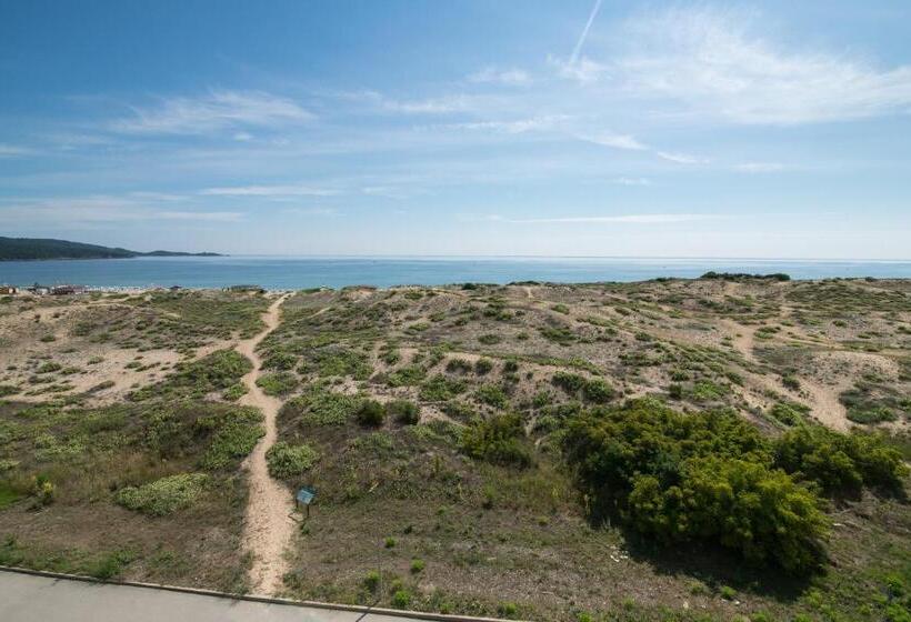 호텔 тропикана