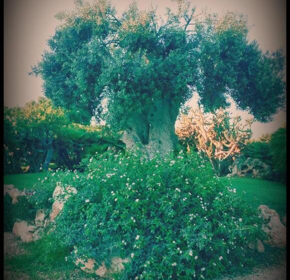 هتل Agriturismo Il Ranch