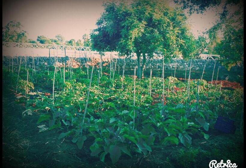 هتل Agriturismo Il Ranch