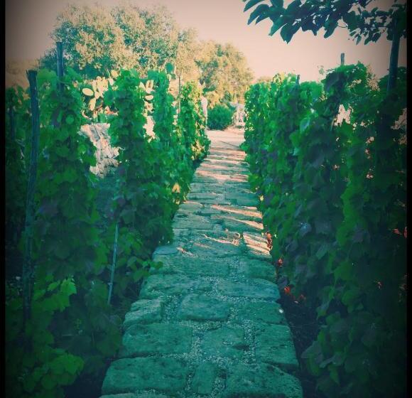 هتل Agriturismo Il Ranch