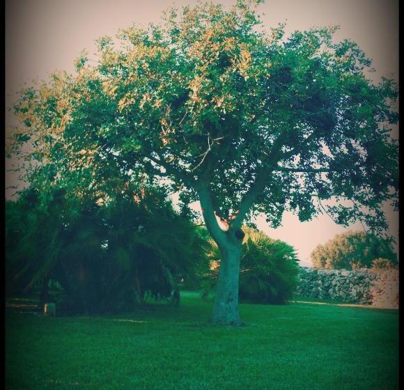 هتل Agriturismo Il Ranch