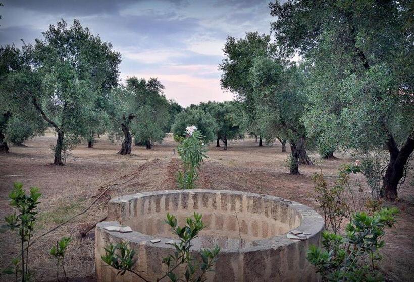 فندق Agriturismo Molle