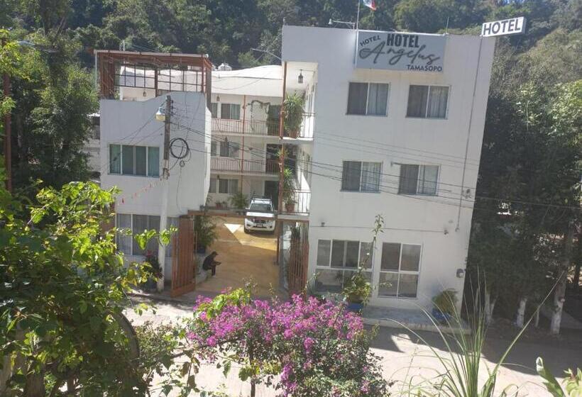 בית מלון כפרי Angelus