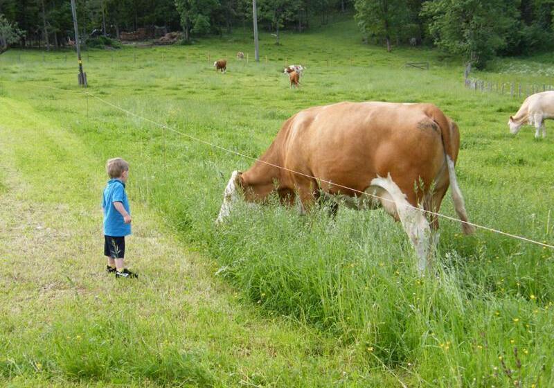 호텔 Bognerlehen Katharina Kurz