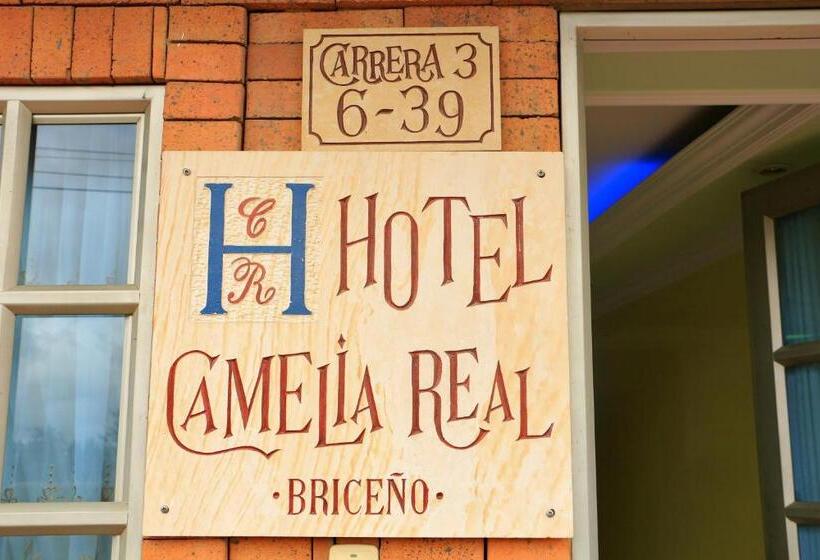 Отель Camelia Real Briceño