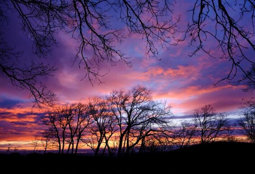 בית מלון כפרי Campusphi