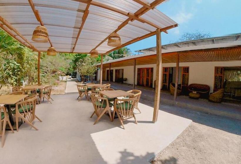 Отель Corales De Orika