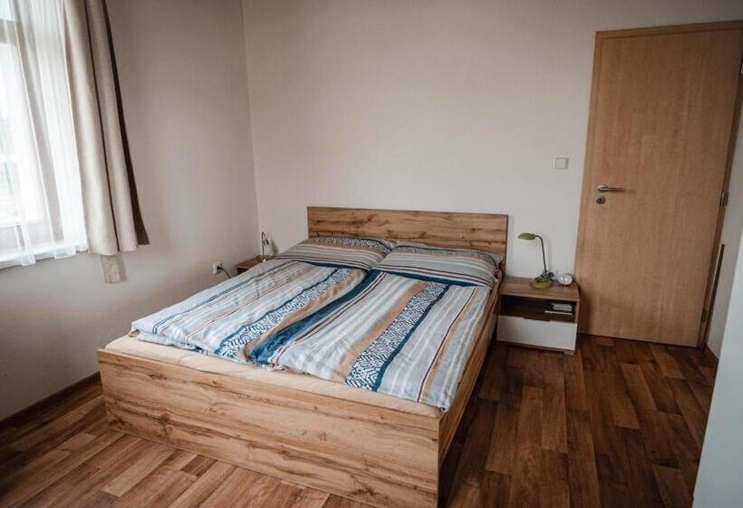 ホテル Farma Tasov