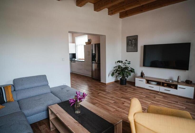 ホテル Farma Tasov