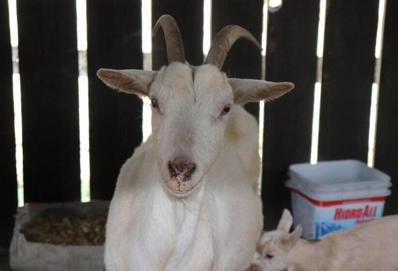ホテル Fazenda Em Itapetininga, Paz, Descanso E Piscinas