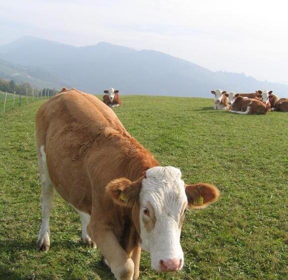 酒店 Ferienhof Schneiderweg