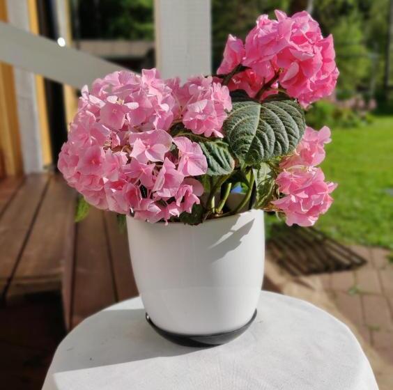 Отель Haaran Torppa