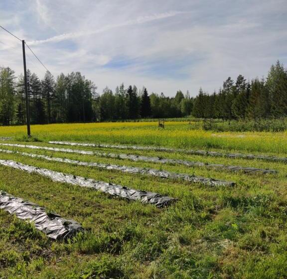 Отель Haaran Torppa