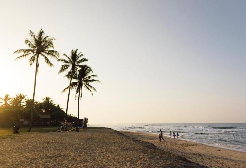 호텔 Jamu Surf Lodge