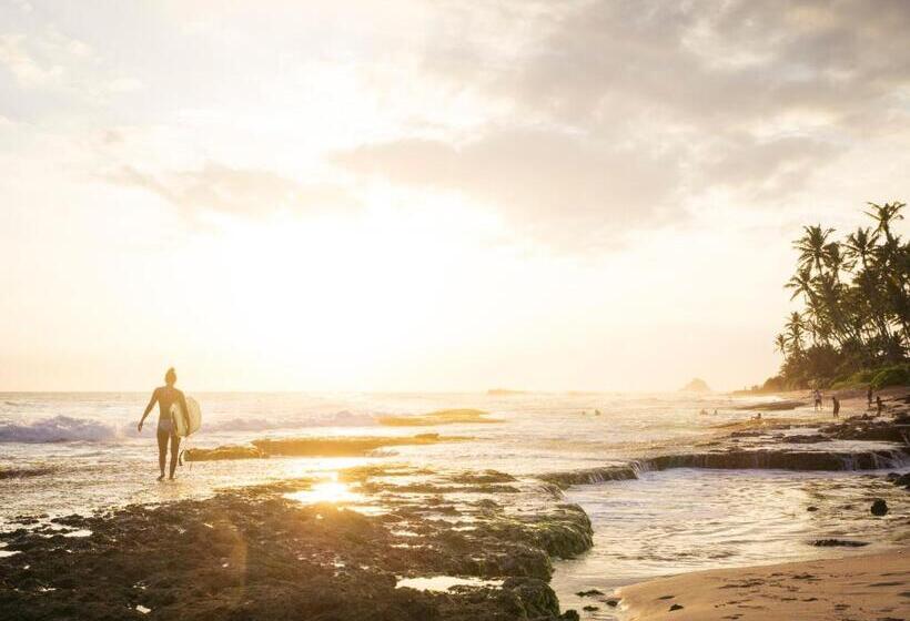 호텔 Jamu Surf Lodge