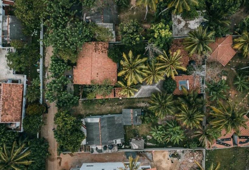 호텔 Jamu Surf Lodge