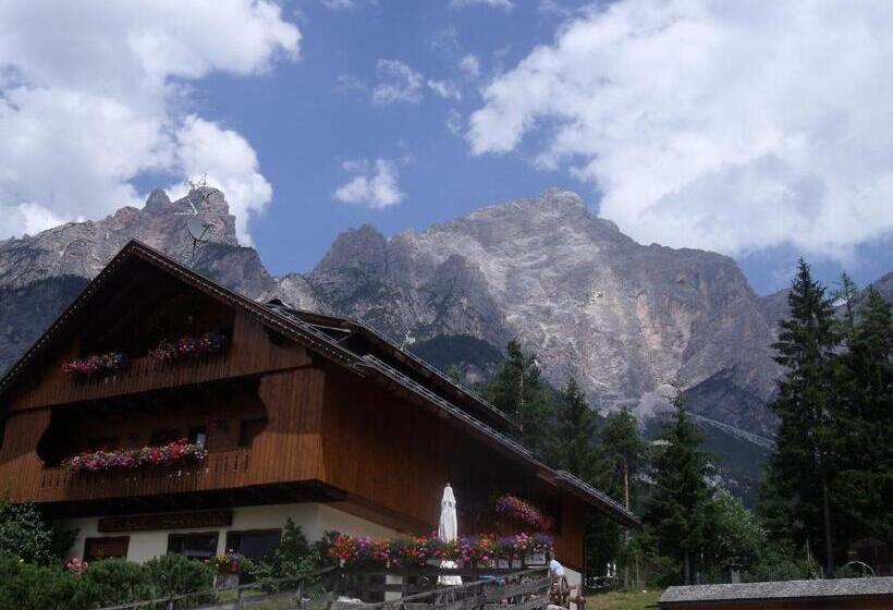 酒店 Meublè Barancio