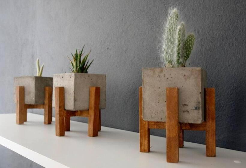 호텔 Near Templo Mayor Smart Tv Rooftop