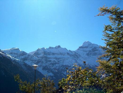 فندق Restaurant Cristal