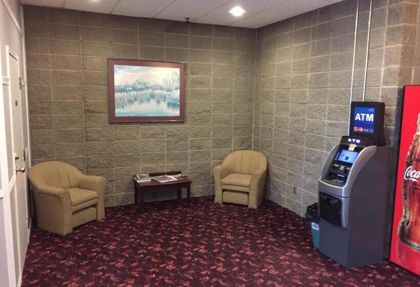 فندق Skyvista Inn