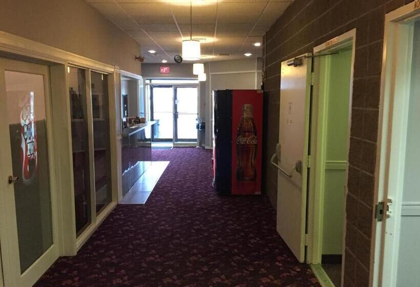 فندق Skyvista Inn