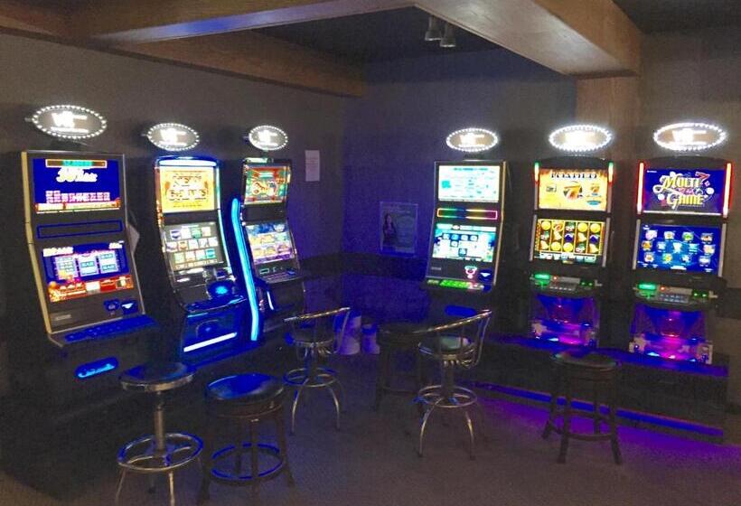 فندق Skyvista Inn