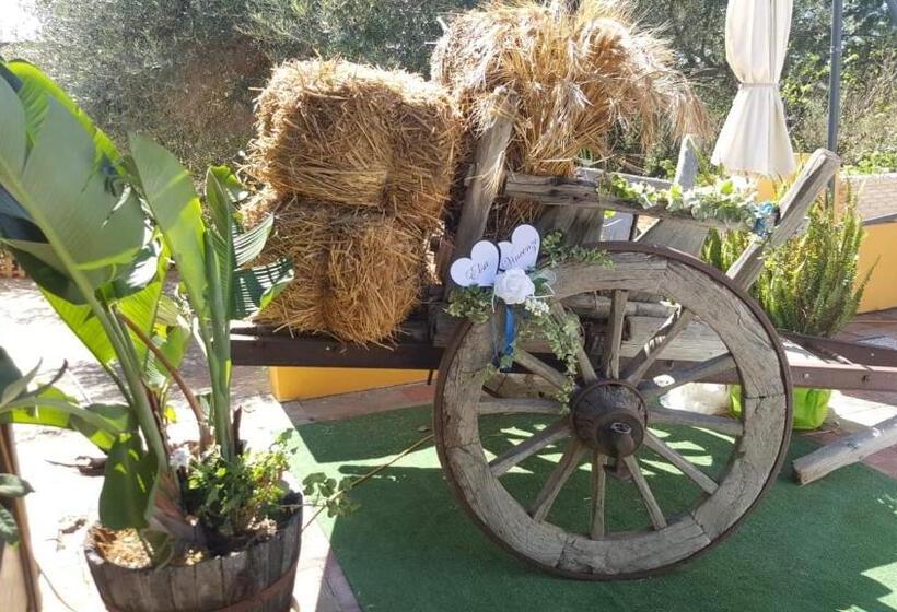 בית מלון כפרי Sogno Sulcitano Masainas