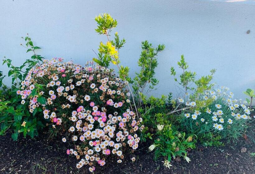 בית מלון כפרי Sogno Sulcitano Masainas