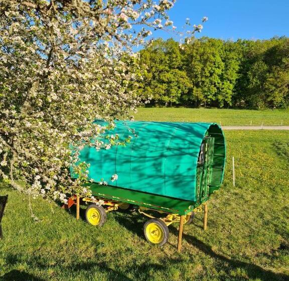 فندق The Thistle Inn   Eko Farmstay