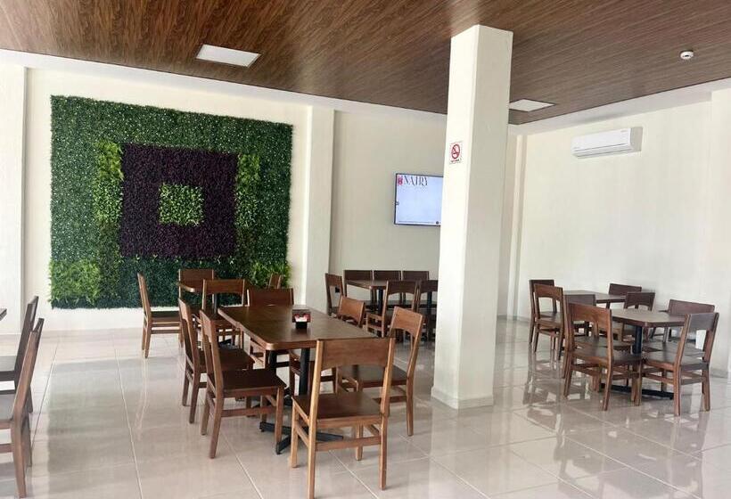 Nairy Hotel Ejecutivo