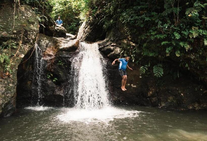 Papageno Resort & Dive