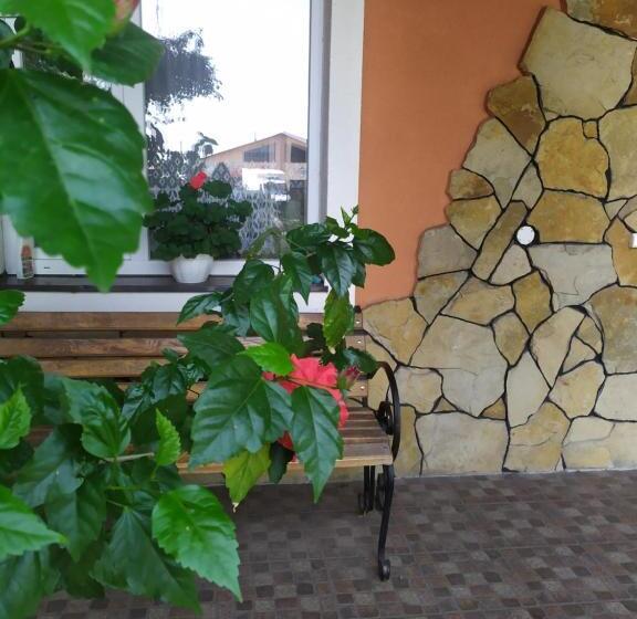 پانسیون білий птах