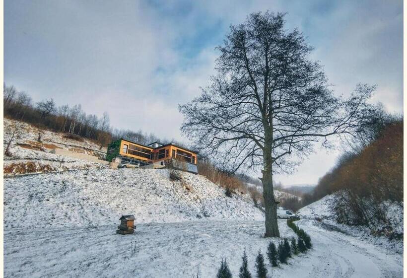 Пансион Alter Ego