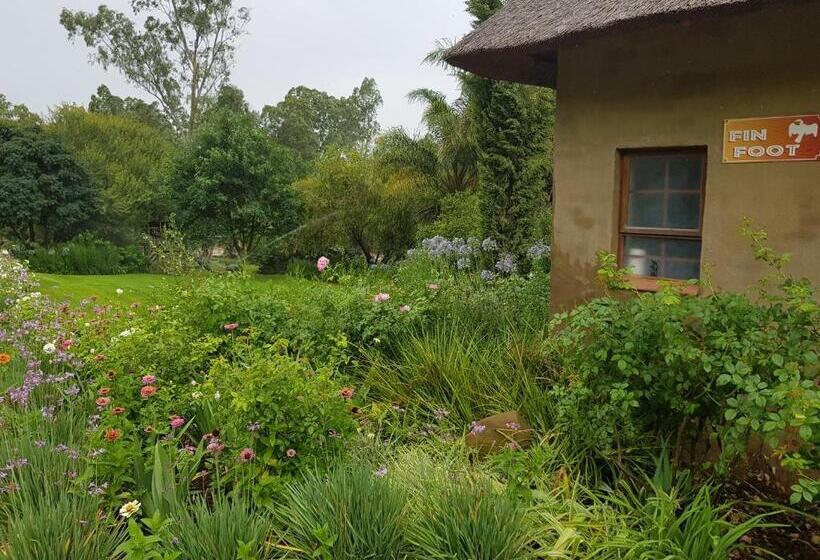 ペンション Avoca River Cabins