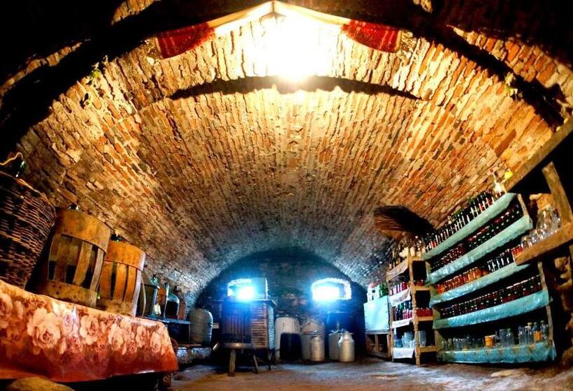 Пансион Badiu S Guest House