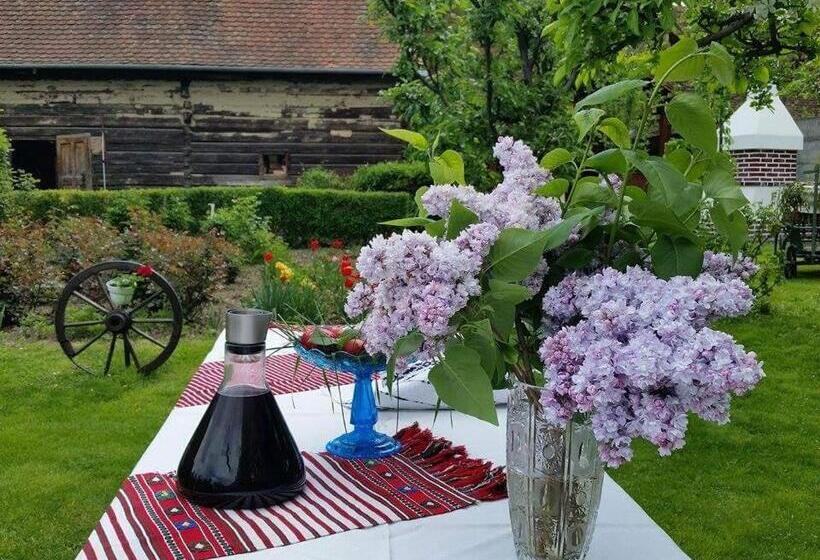 Пансион Badiu S Guest House