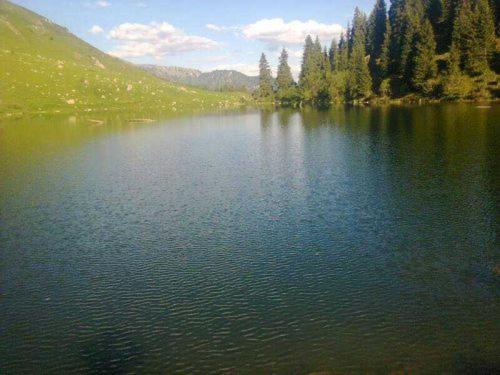 پانسیون Benni Guest House