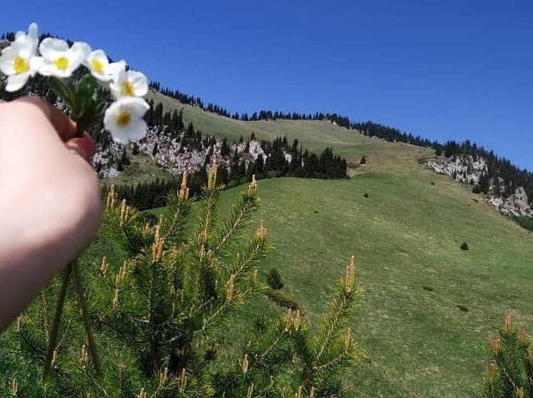 پانسیون Benni Guest House