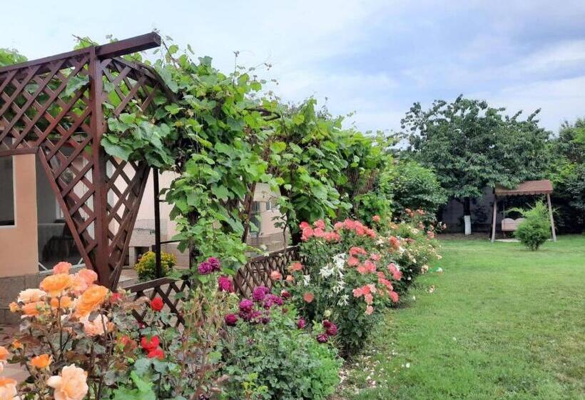 膳宿费 Casa Adina