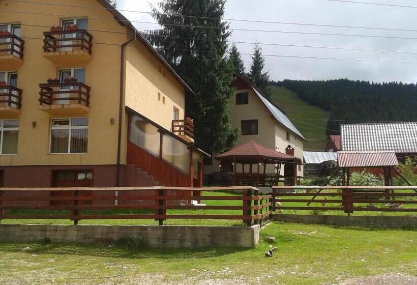 Пансион Casa Andreea Maria