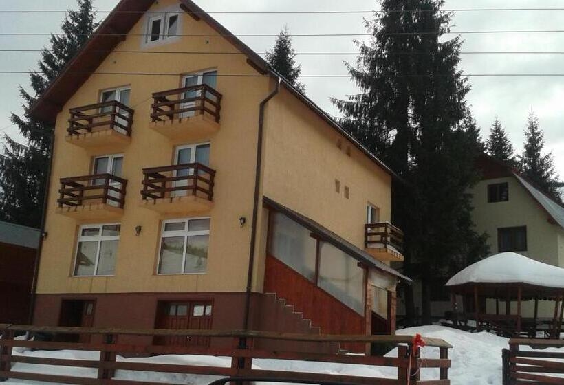 Пансион Casa Andreea Maria