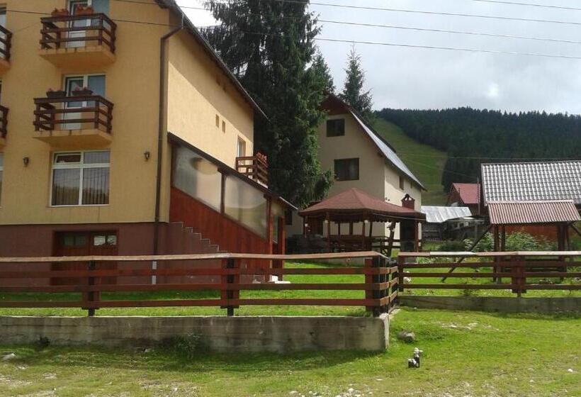 Пансион Casa Andreea Maria