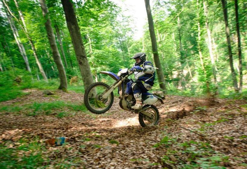 بنسيون Casa Bucatarului