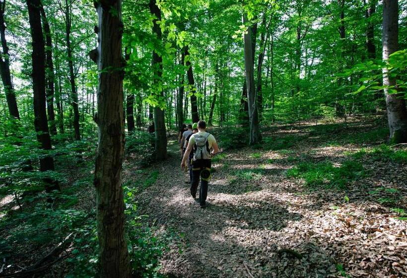 بنسيون Casa Bucatarului